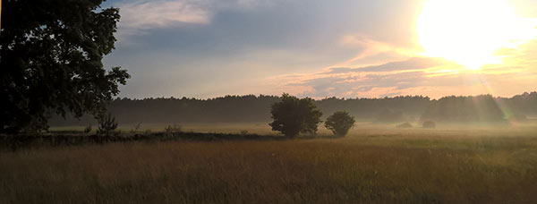 Bork im Herbst - Wiese im Nebel