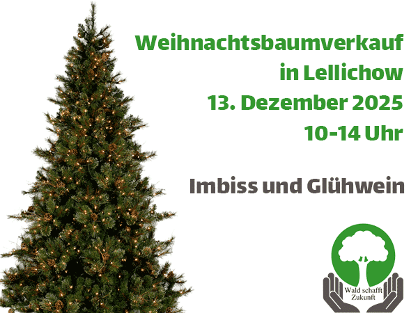 Plakat Weihnachtsbaum Verkauf Lellichow